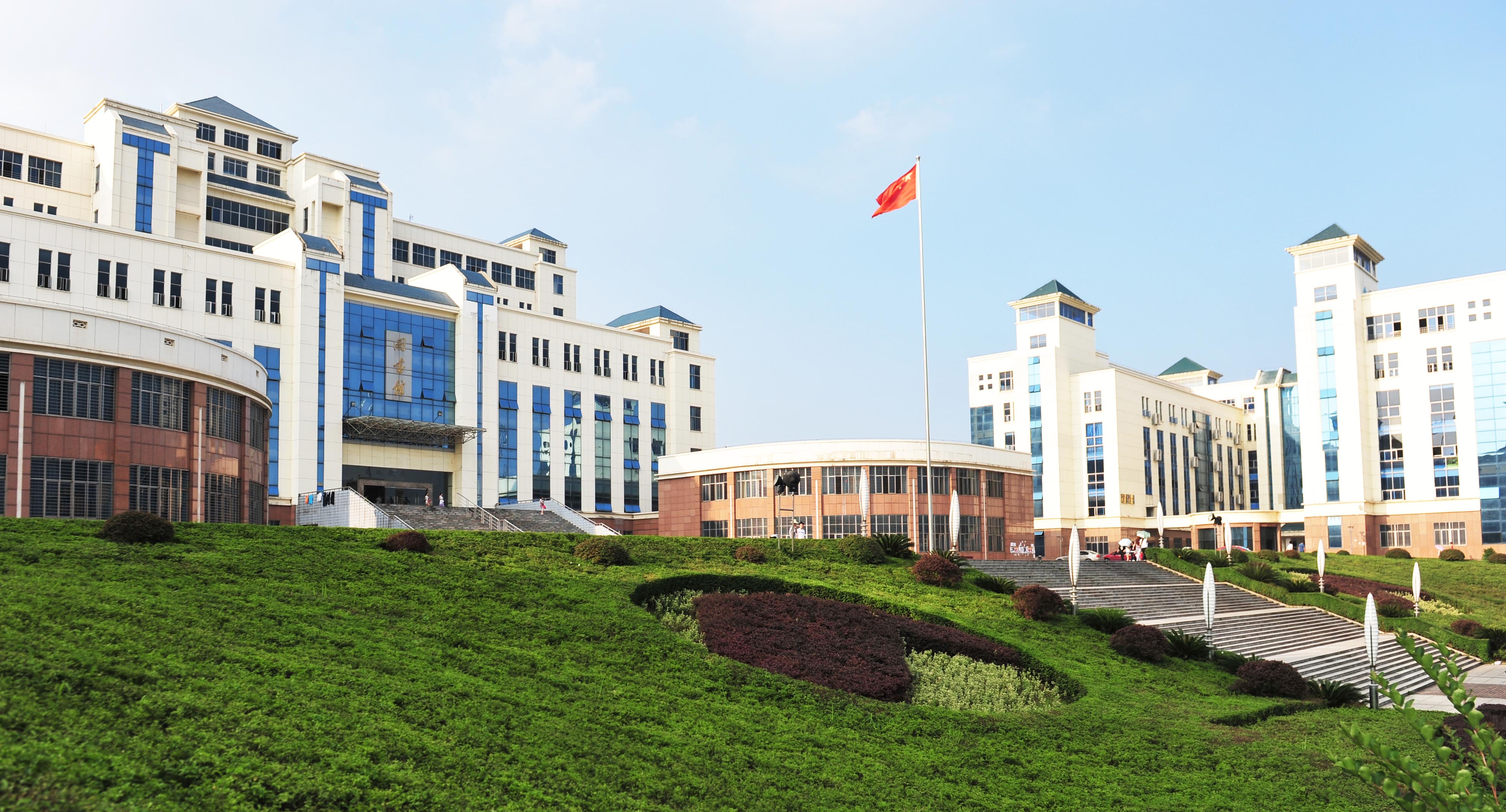 bv伟德国际体育官方网站