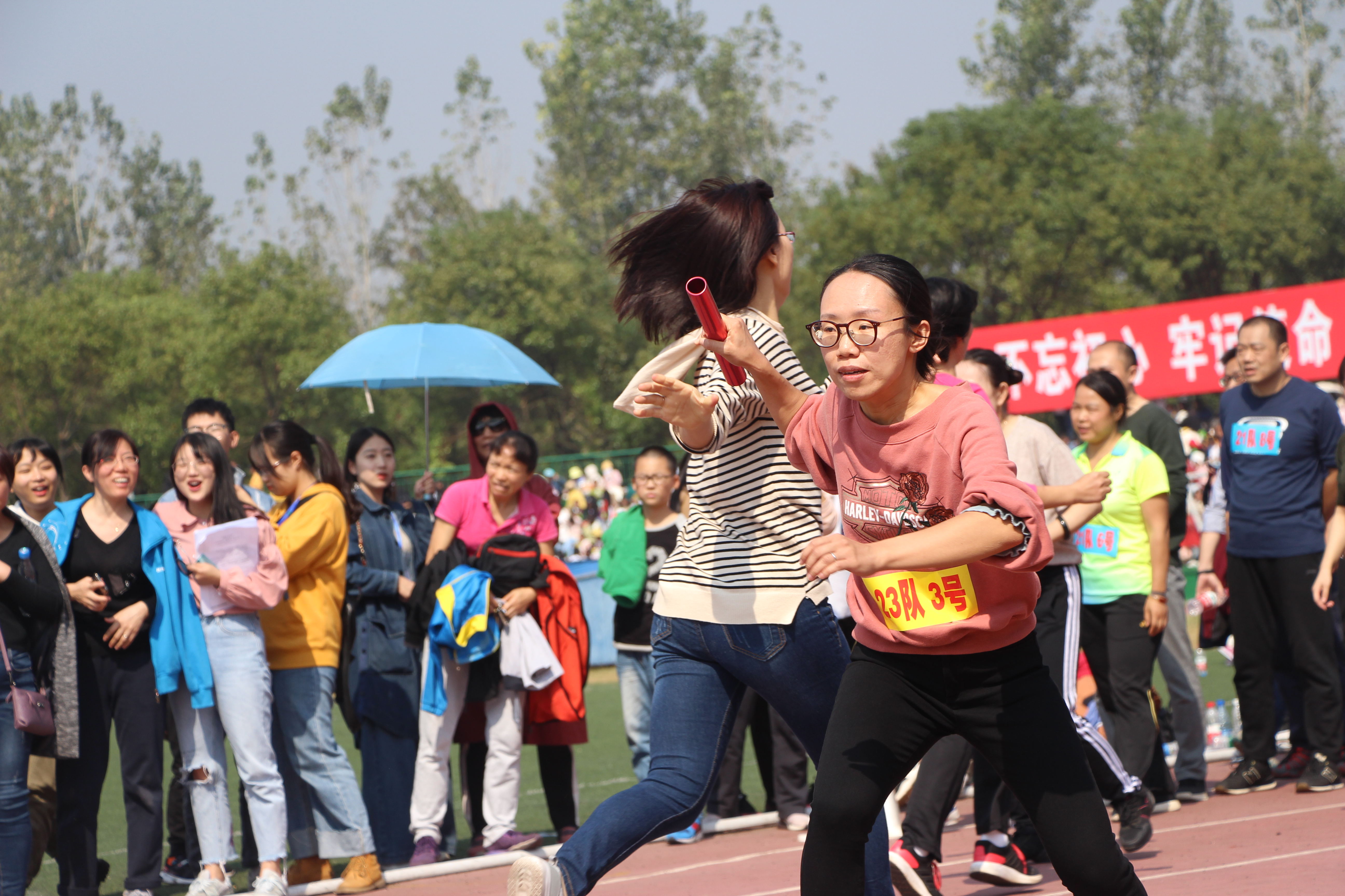 bv伟德国际体育官方网站