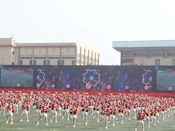 bv伟德国际体育官方网站