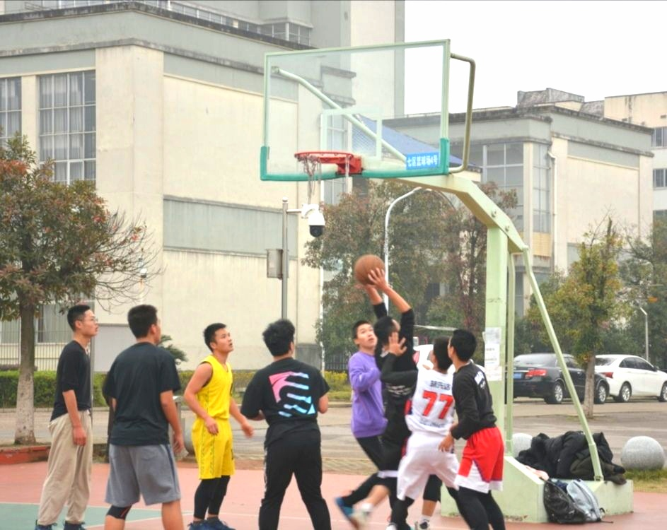 bv伟德国际体育官方网站