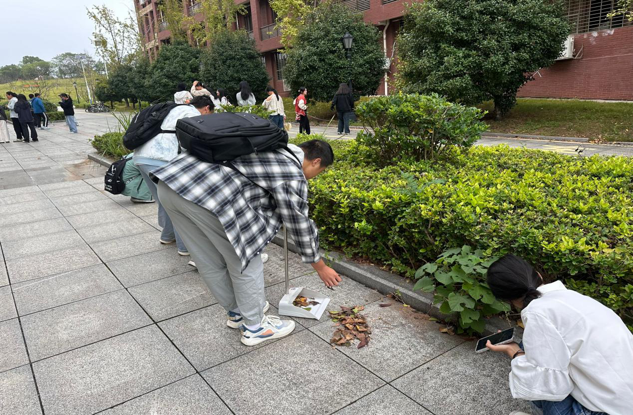 bv伟德国际体育官方网站