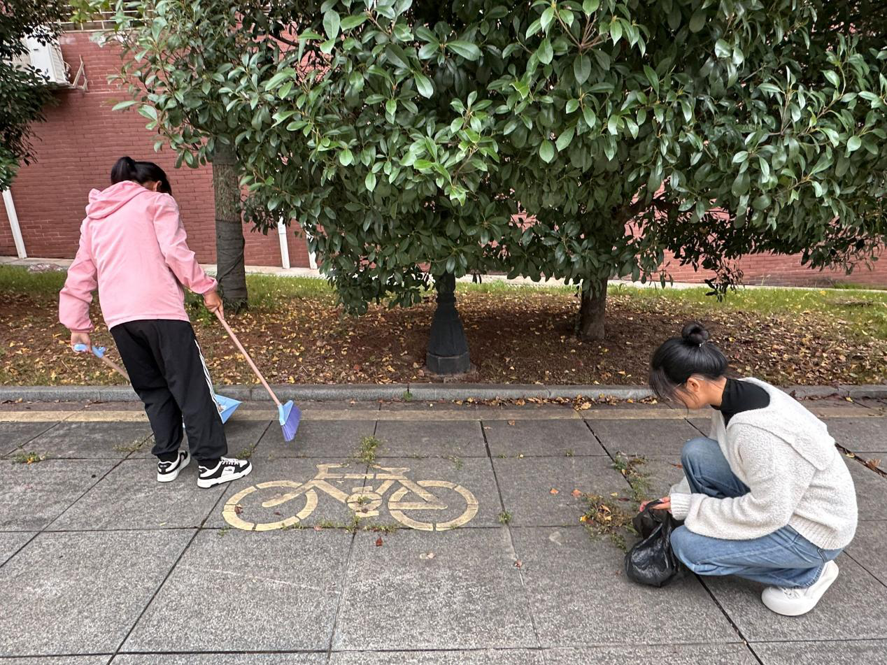 bv伟德国际体育官方网站