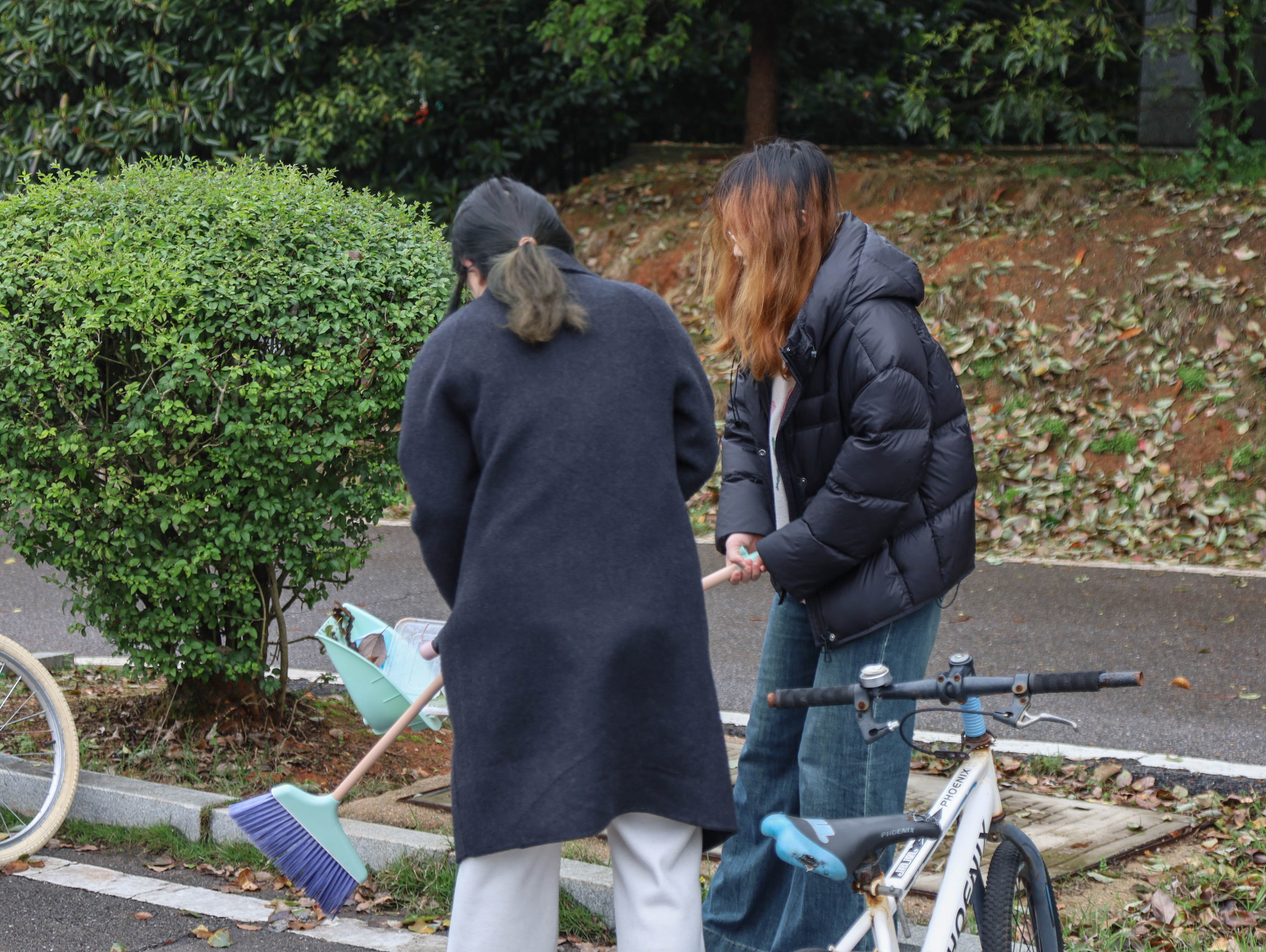 bv伟德国际体育官方网站