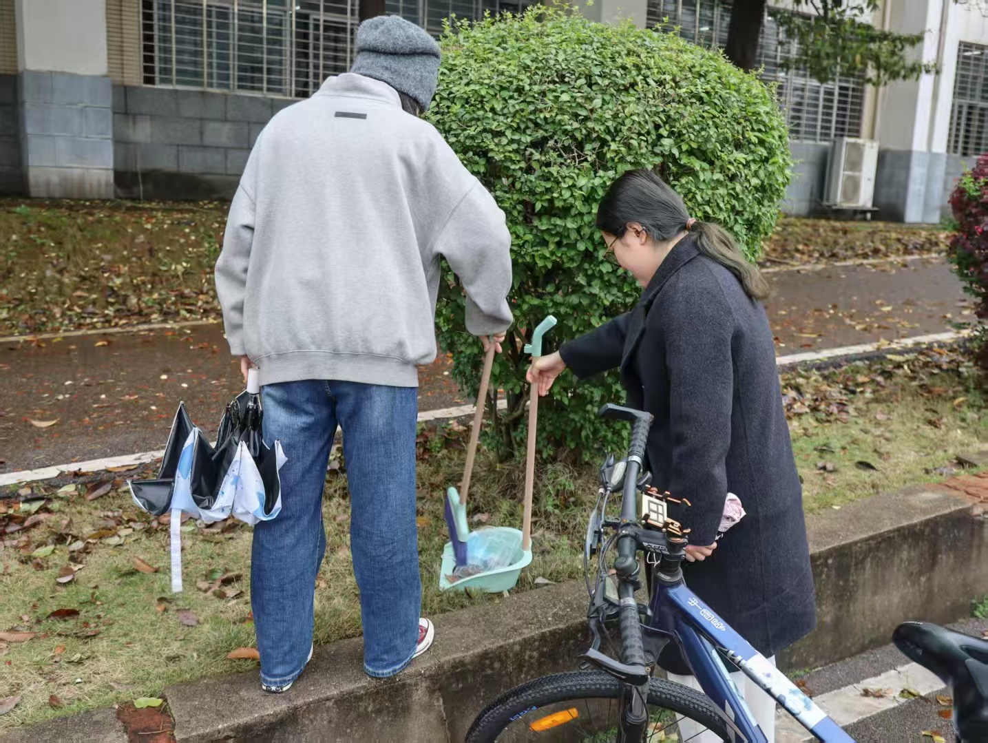 bv伟德国际体育官方网站