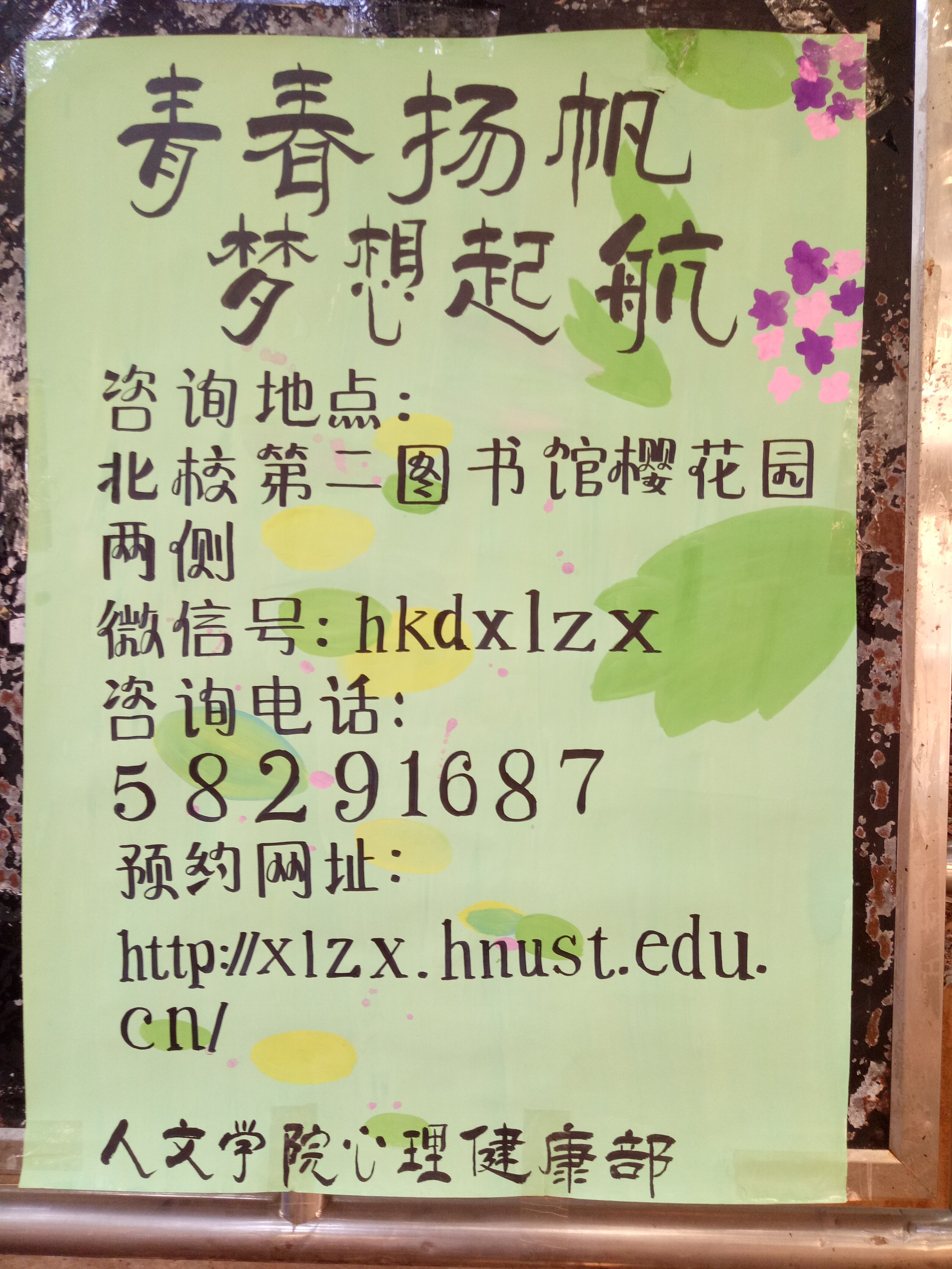 bv伟德国际体育官方网站