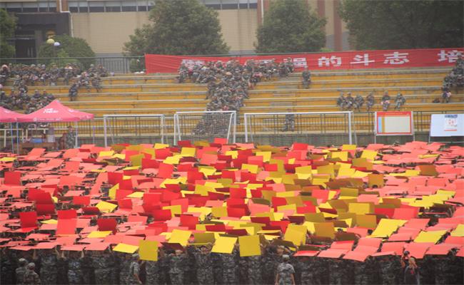 bv伟德国际体育官方网站