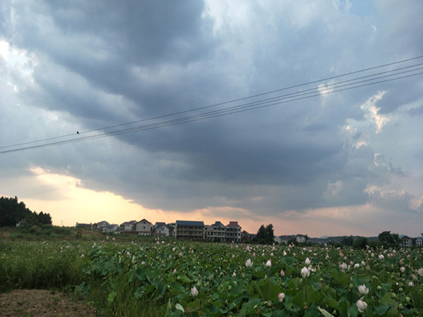 bv伟德国际体育官方网站